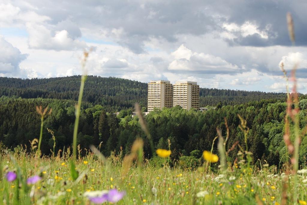 Apartments Pano-Hohegeiß Buitenkant foto